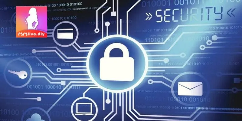 Quyền lợi cho người dùng tại nền tảng MMLIVE